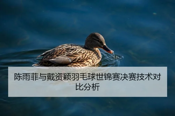 陈雨菲与戴资颖羽毛球世锦赛决赛技术对比分析