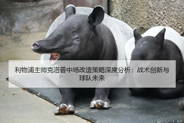 利物浦主帅克洛普中场改造策略深度分析：战术创新与球队未来