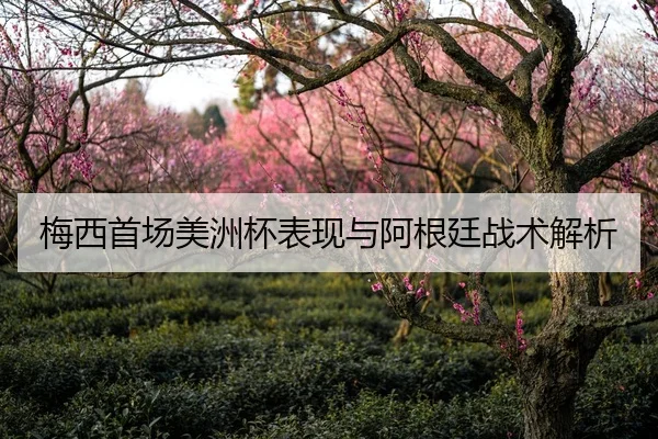 梅西首场美洲杯表现与阿根廷战术解析
